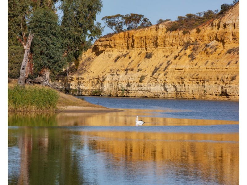 153 Riversleigh Road, Waikerie SA 5330