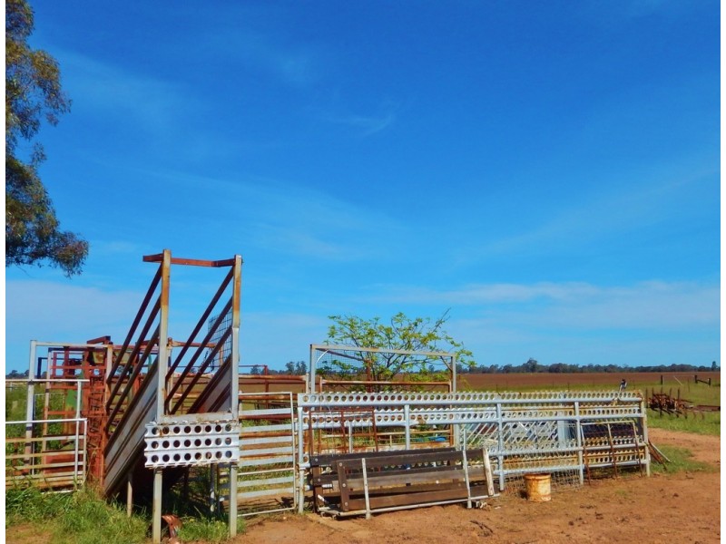 64R Bellhaven Road, Eumungerie NSW 2831