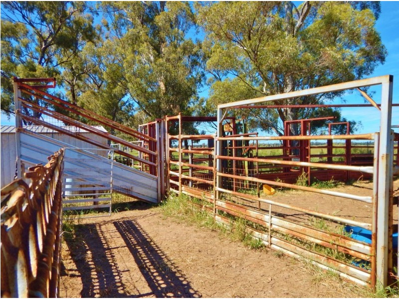 64R Bellhaven Road, Eumungerie NSW 2831