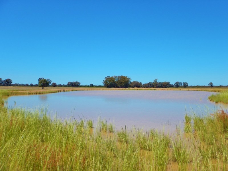 64R Bellhaven Road, Eumungerie NSW 2831