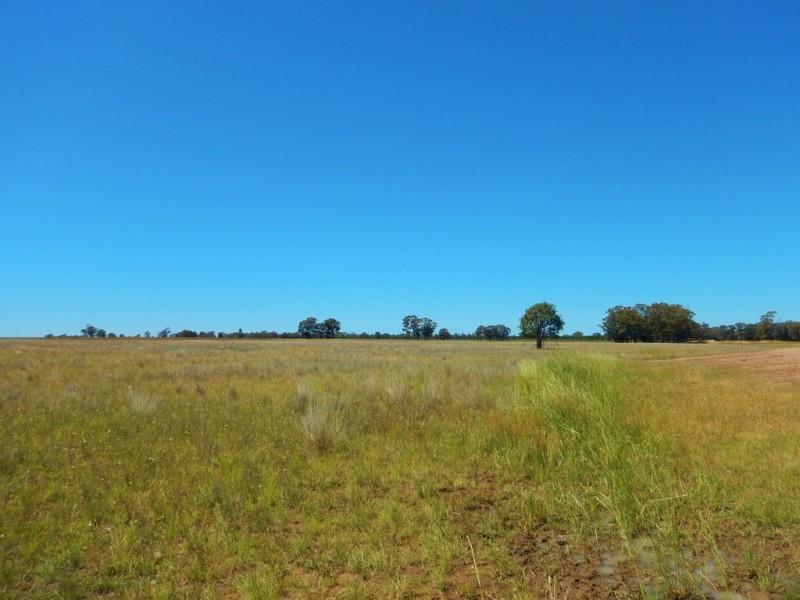 64R Bellhaven Road, Eumungerie NSW 2831