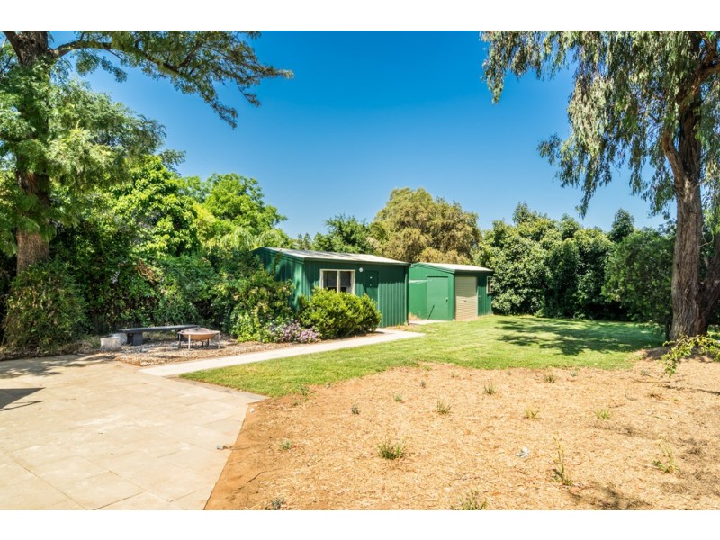 117 Palmer Street, Dubbo NSW 2830