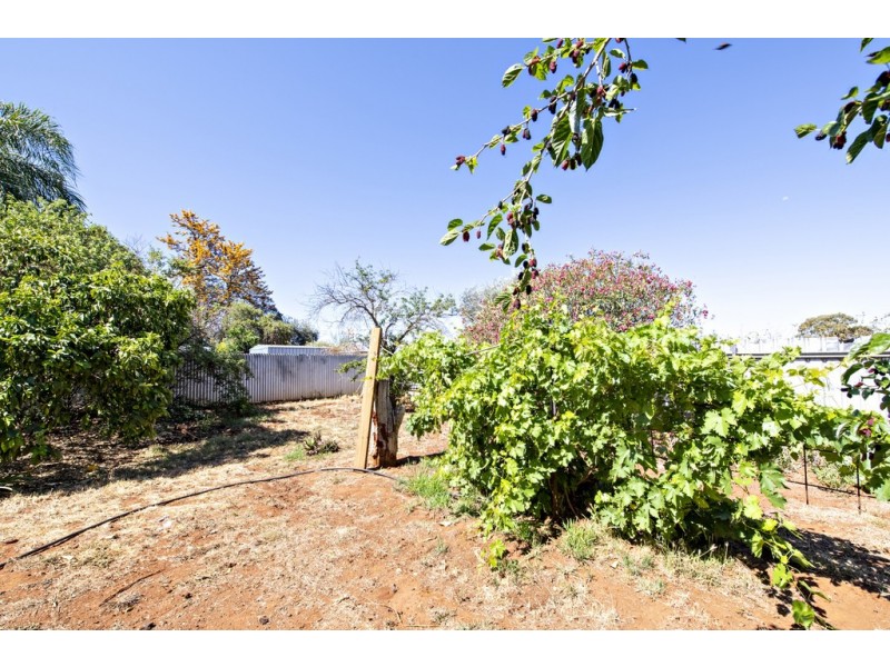 158 Bunglegumbie Road, Dubbo NSW 2830