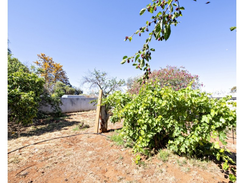 158 Bunglegumbie Road, Dubbo NSW 2830