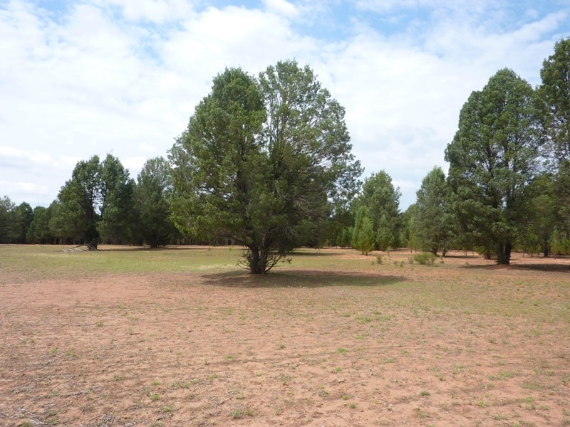 18L Duffy’s Lane, Dubbo NSW 2830
