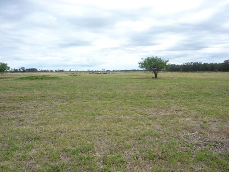 145 Villeneuve Drive, Narromine NSW 2821