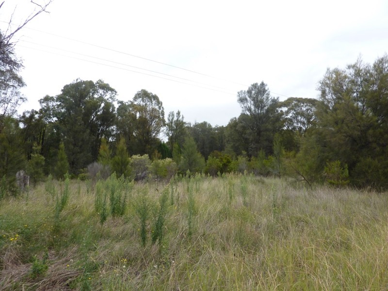 Lot 38 Whitewood Road, Dubbo NSW 2830