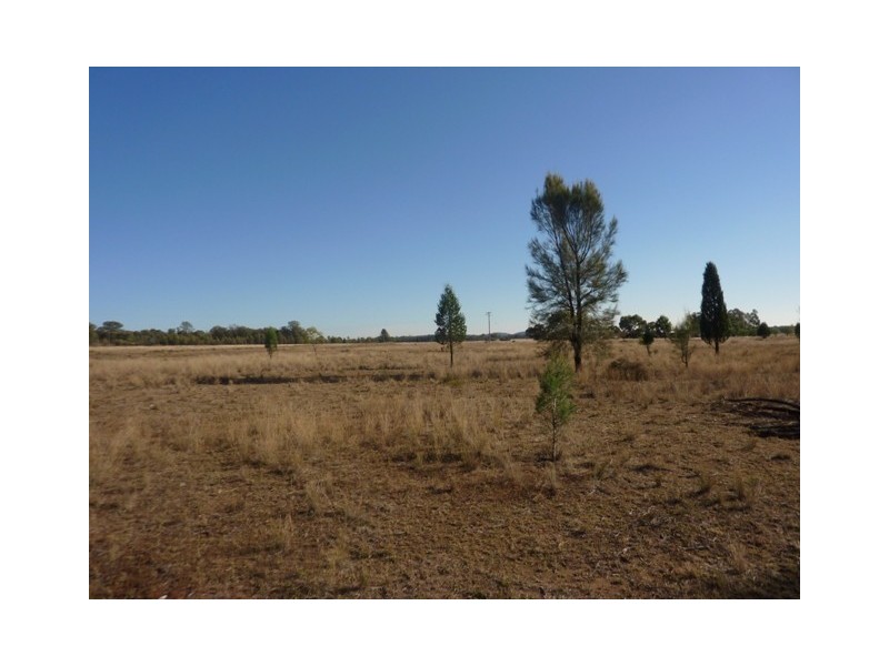 33R Lagoon Creek Road, Dubbo NSW 2830