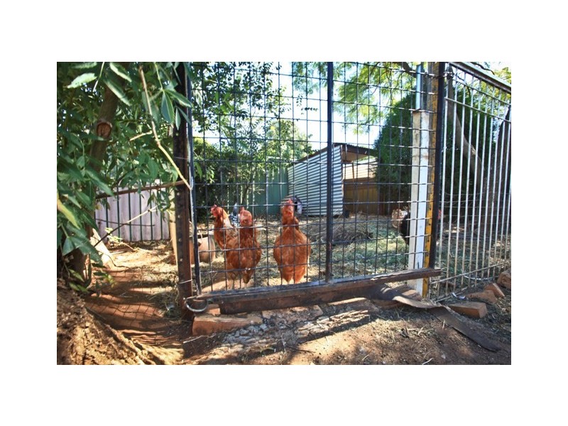 34 Lovett Avenue, Dubbo NSW 2830