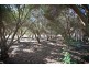 18 Hargraves Lane, Gilgandra NSW 2827