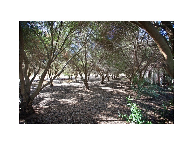 18 Hargraves Lane, Gilgandra NSW 2827