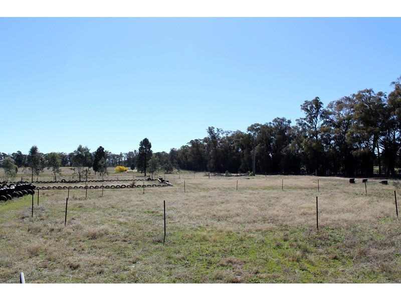 Lot 111 Weone Road, Wongarbon NSW 2831