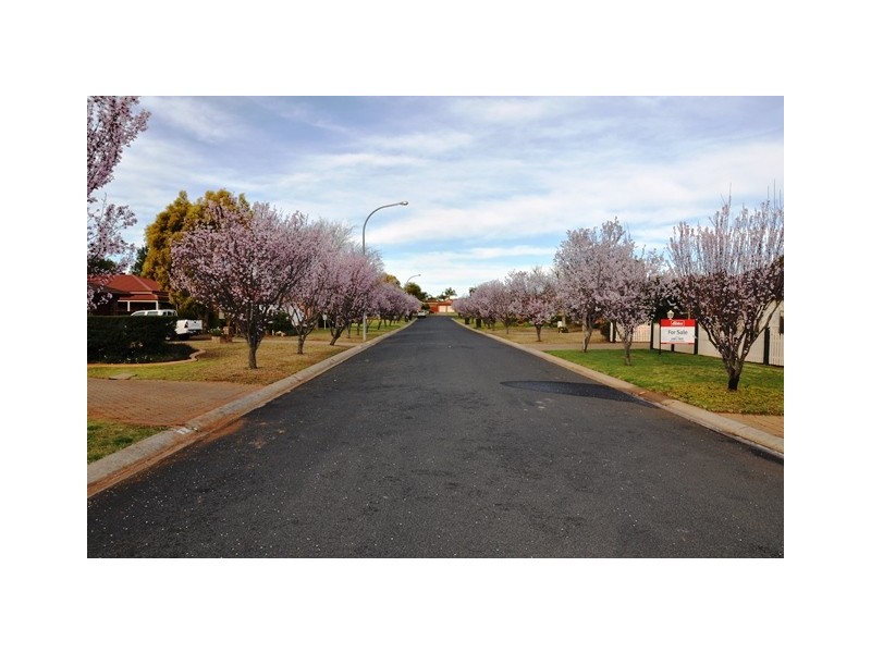 7 Ron Gordon Place, Dubbo NSW 2830