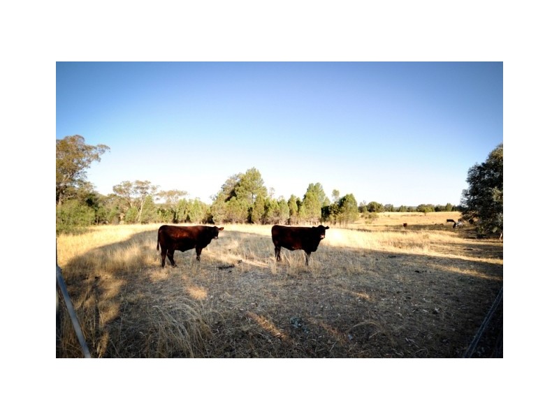 20L Ascot Park Road, Dubbo NSW 2830