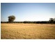 20L Ascot Park Road, Dubbo NSW 2830