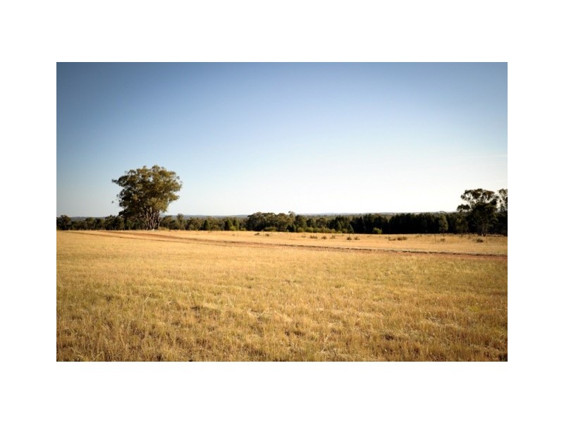 20L Ascot Park Road, Dubbo NSW 2830