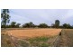 50R Old Mendooran Road, Dubbo NSW 2830
