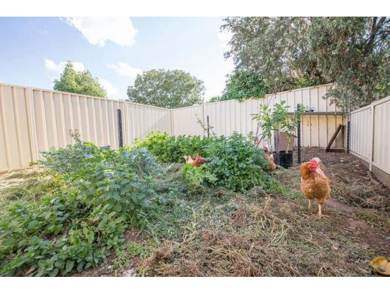 265 Brisbane Street, Dubbo NSW 2830