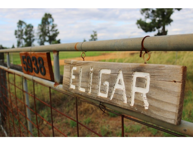 5938 Newell Highway, Gilgandra NSW 2827
