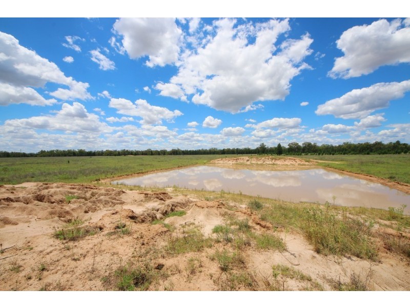 5938 Newell Highway, Gilgandra NSW 2827