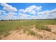 5938 Newell Highway, Gilgandra NSW 2827