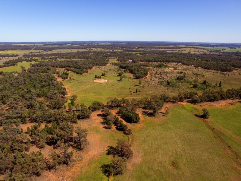 “Lilyvale” Buddens Road, Dubbo NSW 2830