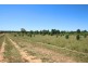 28L Lonsdale Road, Dubbo NSW 2830