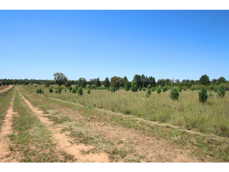 28L Lonsdale Road, Dubbo NSW 2830