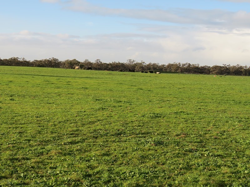 Lot 60 Cobb Highway, Pretty Pine NSW 2710