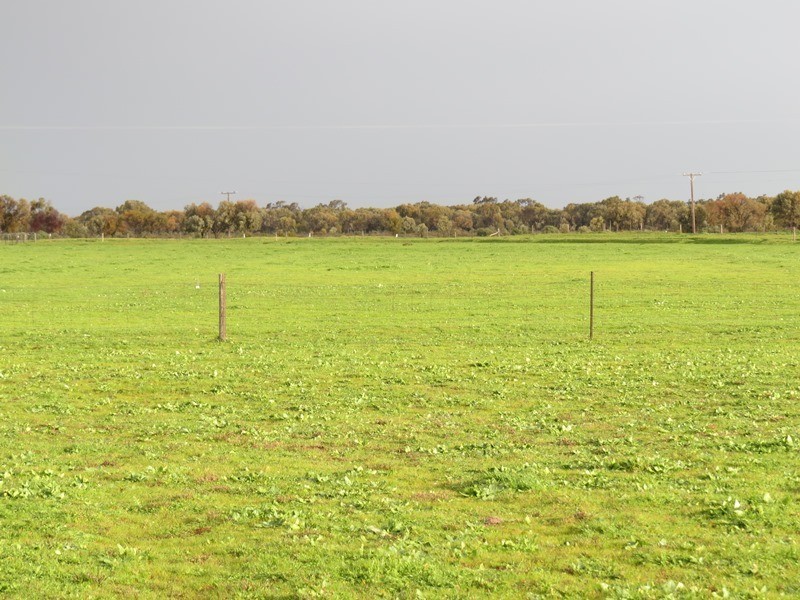 Lot 60 Cobb Highway, Pretty Pine NSW 2710