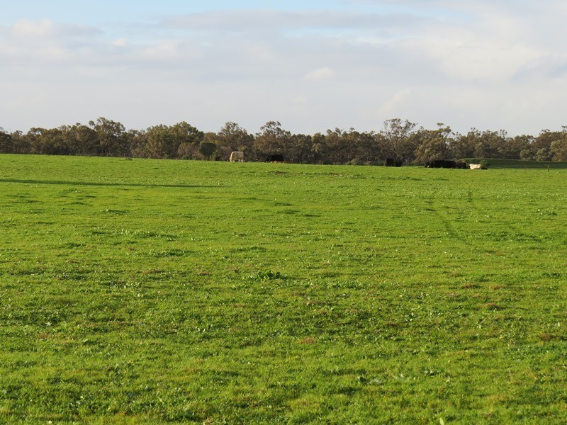 Lot 60 Cobb Highway, Pretty Pine NSW 2710