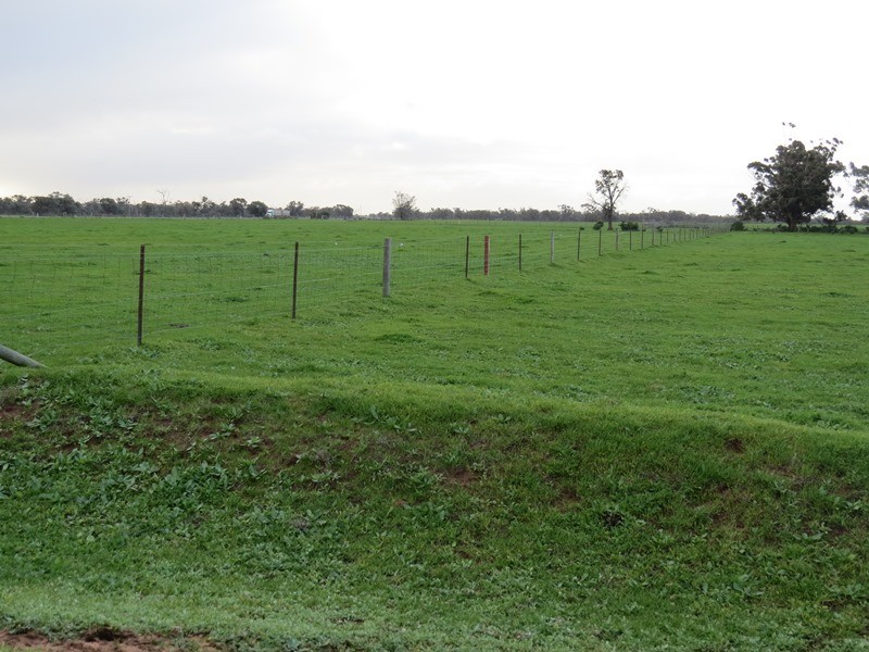 Lot 60 Cobb Highway, Pretty Pine NSW 2710