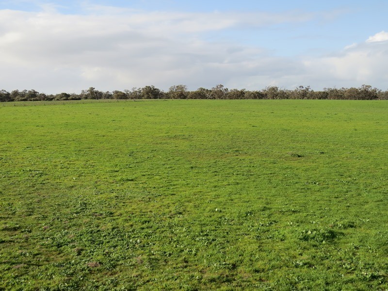 Lot 60 Cobb Highway, Pretty Pine NSW 2710