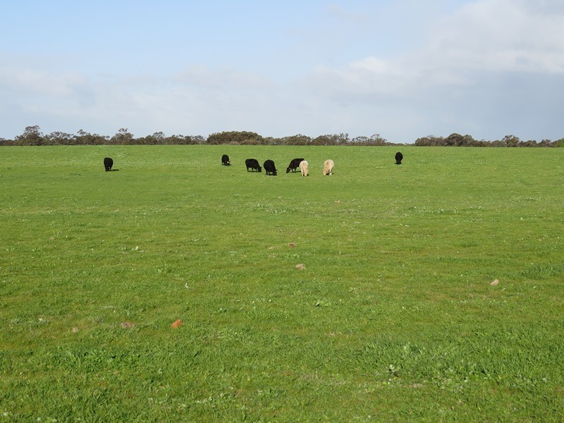 Lot 60 Cobb Highway, Pretty Pine NSW 2710