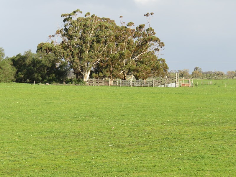 Lot 60 Cobb Highway, Pretty Pine NSW 2710