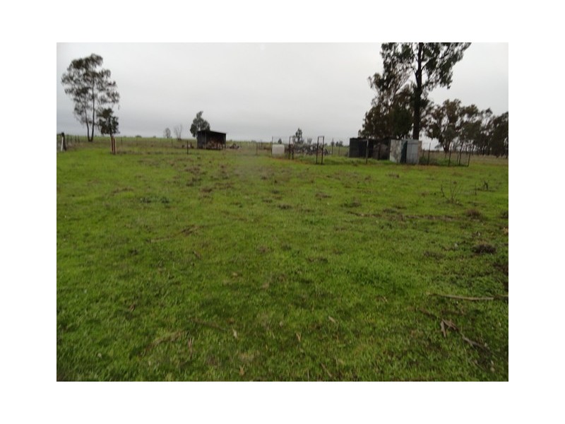 1679 Brocklesby-Balldale Road, Balldale NSW 2646