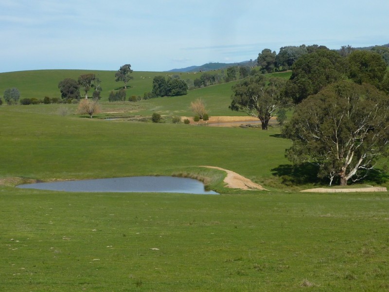 28 Bob’s Creek Road,, Wagga Wagga NSW 2650