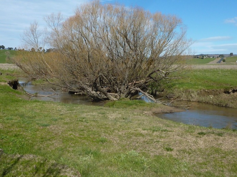 28 Bob’s Creek Road,, Wagga Wagga NSW 2650