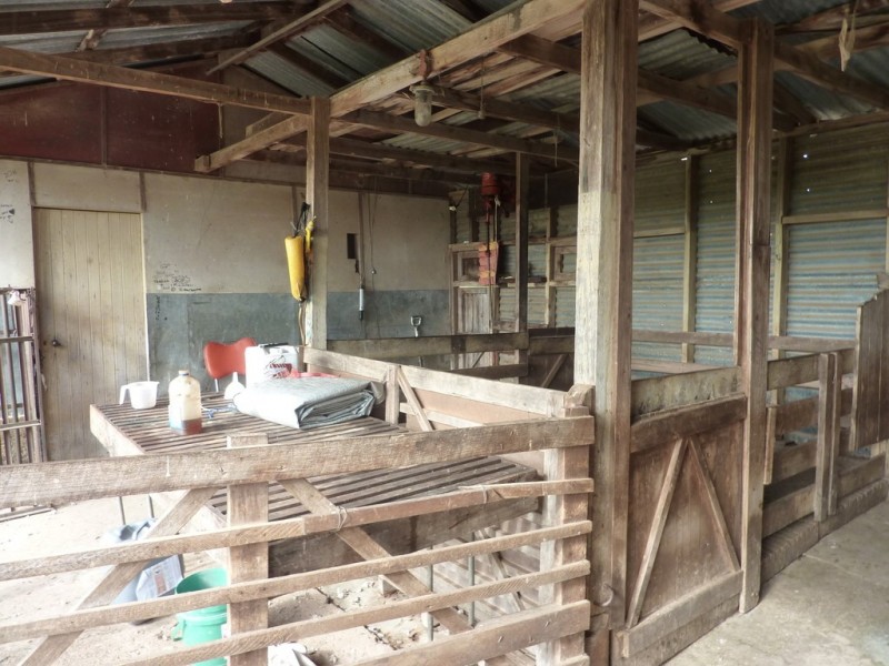 28 Bob’s Creek Road,, Wagga Wagga NSW 2650