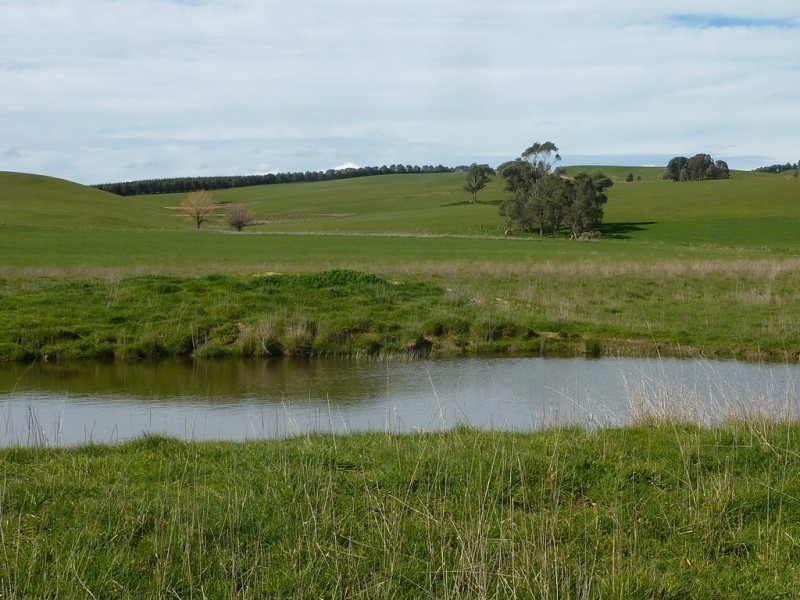 28 Bob’s Creek Road,, Wagga Wagga NSW 2650