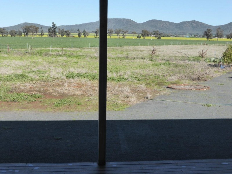 - Vertisco, Lake Cargelligo NSW 2672