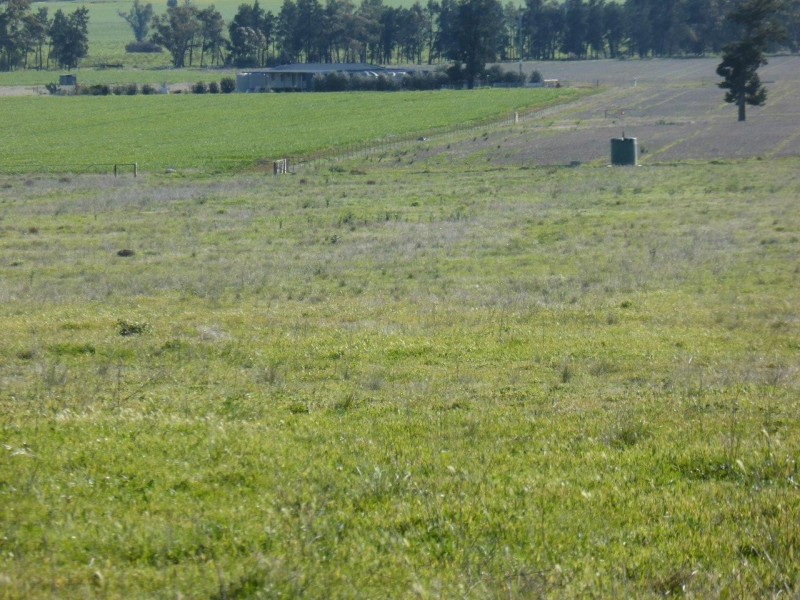 - Vertisco, Lake Cargelligo NSW 2672