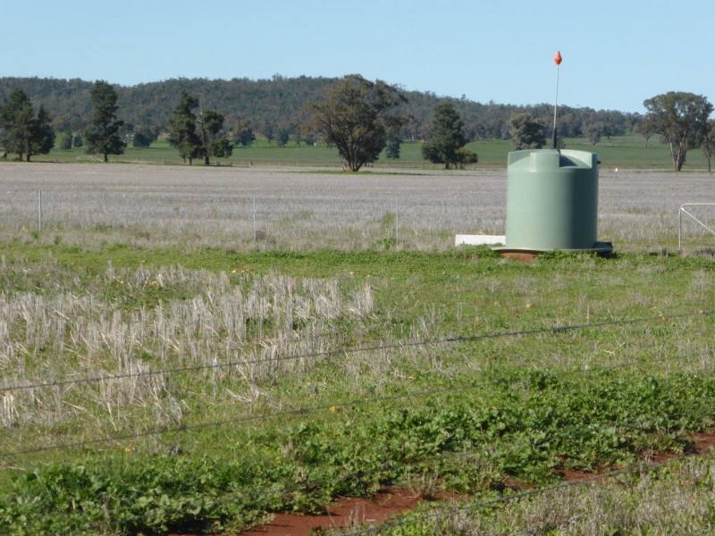 - Vertisco, Lake Cargelligo NSW 2672