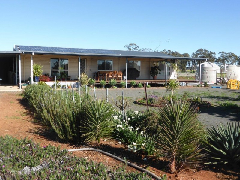 - Vertisco, Lake Cargelligo NSW 2672