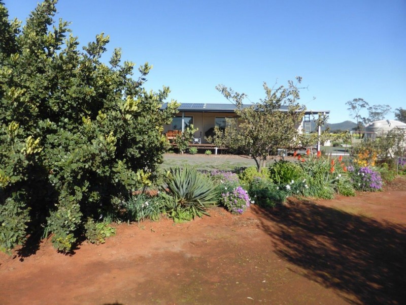 - Vertisco, Lake Cargelligo NSW 2672