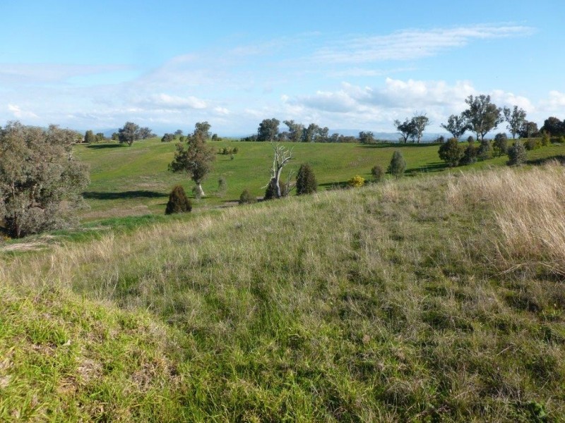 47 Jas Bell Drive, Table Top NSW 2640