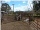 28 Bob’sCreek Road, Carabost NSW 2650