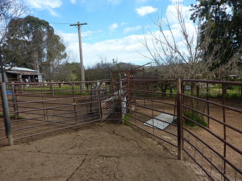 28 Bob’sCreek Road, Carabost NSW 2650