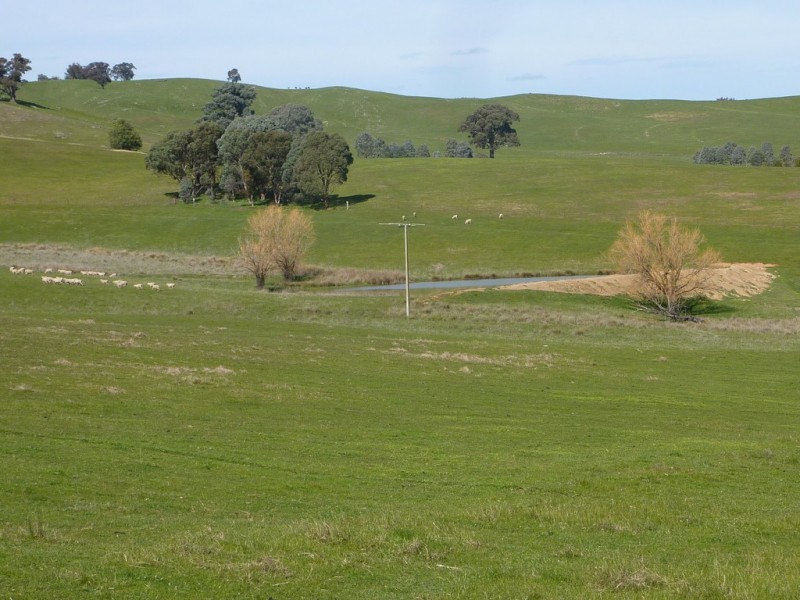 28 Bob’sCreek Road, Carabost NSW 2650