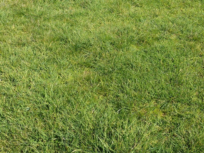 28 Bob’sCreek Road, Carabost NSW 2650